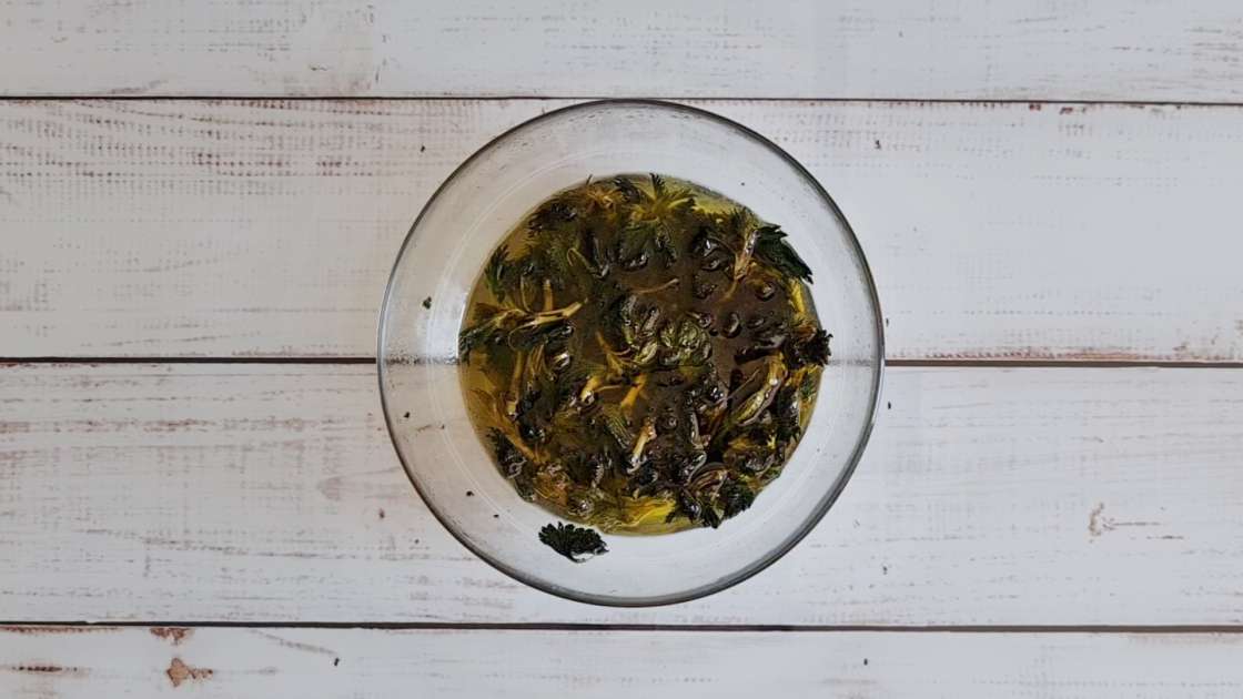 Áthelyezéssel és bain-marie alkalmazásával nyert nettó csalánolaj, fotó 8