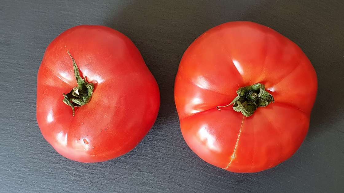 Friss paradicsomlé mézzel a csontok és ízületek erősítésére, fotó 3