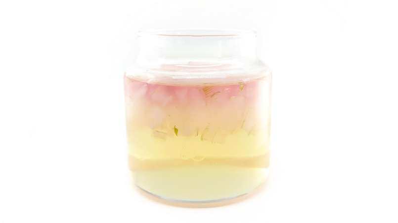 Aloe Vera macerátum mézzel, fotó 14