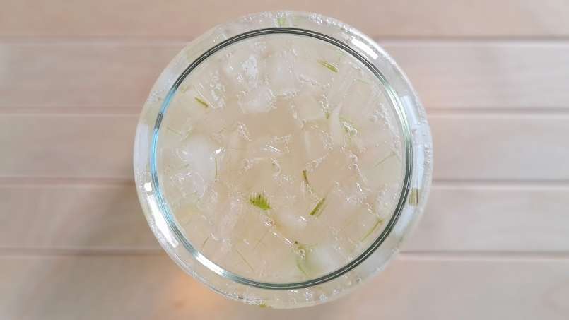 Aloe Vera macerátum mézzel, fotó 4
