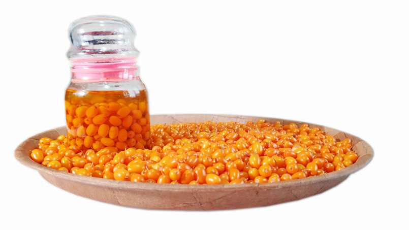 Transzfer-transzfer mazsolás olaj, fotó 6