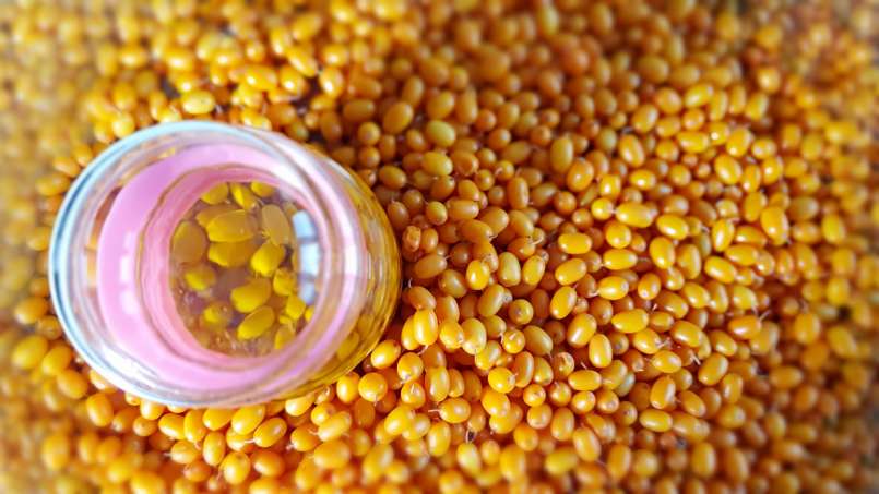 Transzfer-transzfer mazsolás olaj, fotó 7