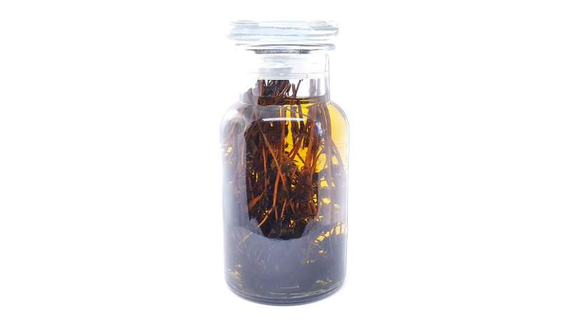 Kakukkfű tinktúra, fotó 2