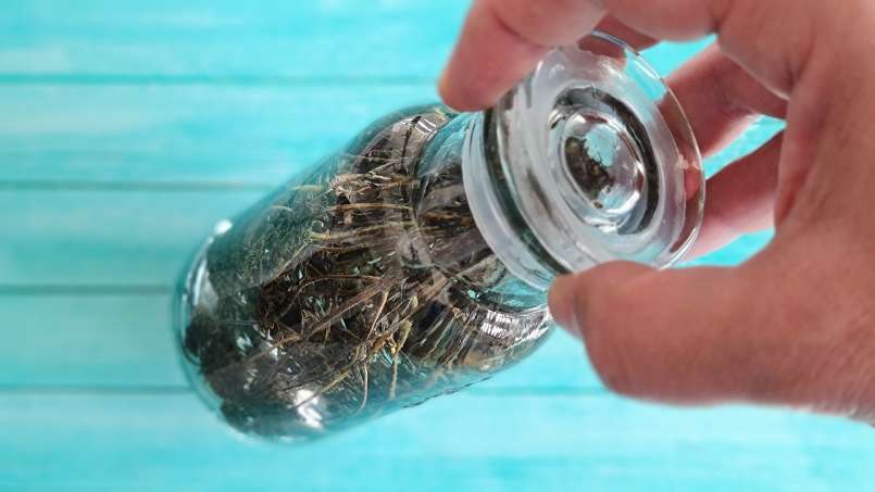 Kakukkfű tinktúra, fotó 4