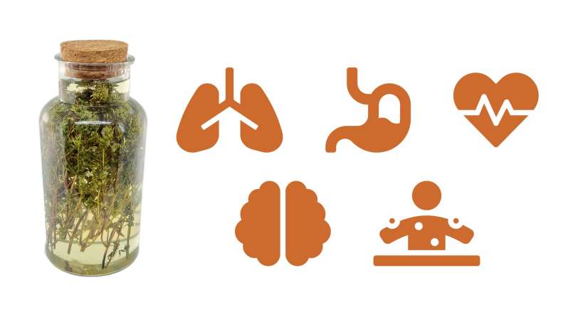 Kakukkfű macerátum mézzel, fotó 1