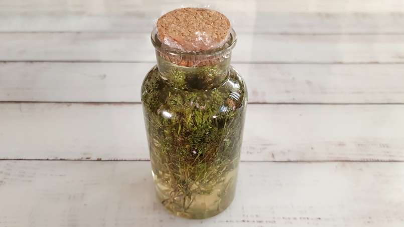 Kakukkfű macerátum mézzel, fotó 6