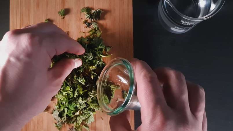 Nettó csalán tinktúra, fotó 2