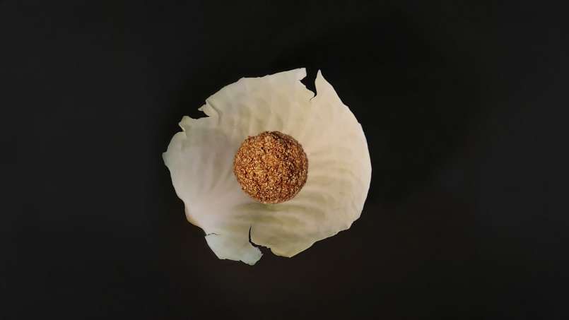 Borogatás loys és káposztalevelekkel, fotó 9